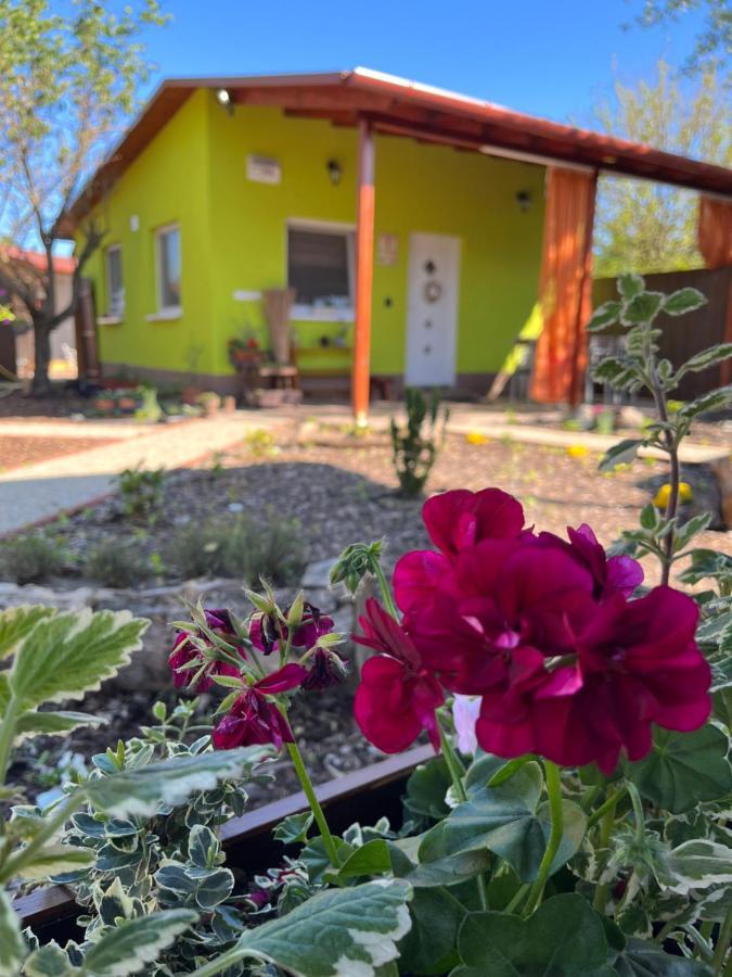 Arvisura Vendeghazak Family Friendly Transit Apartment